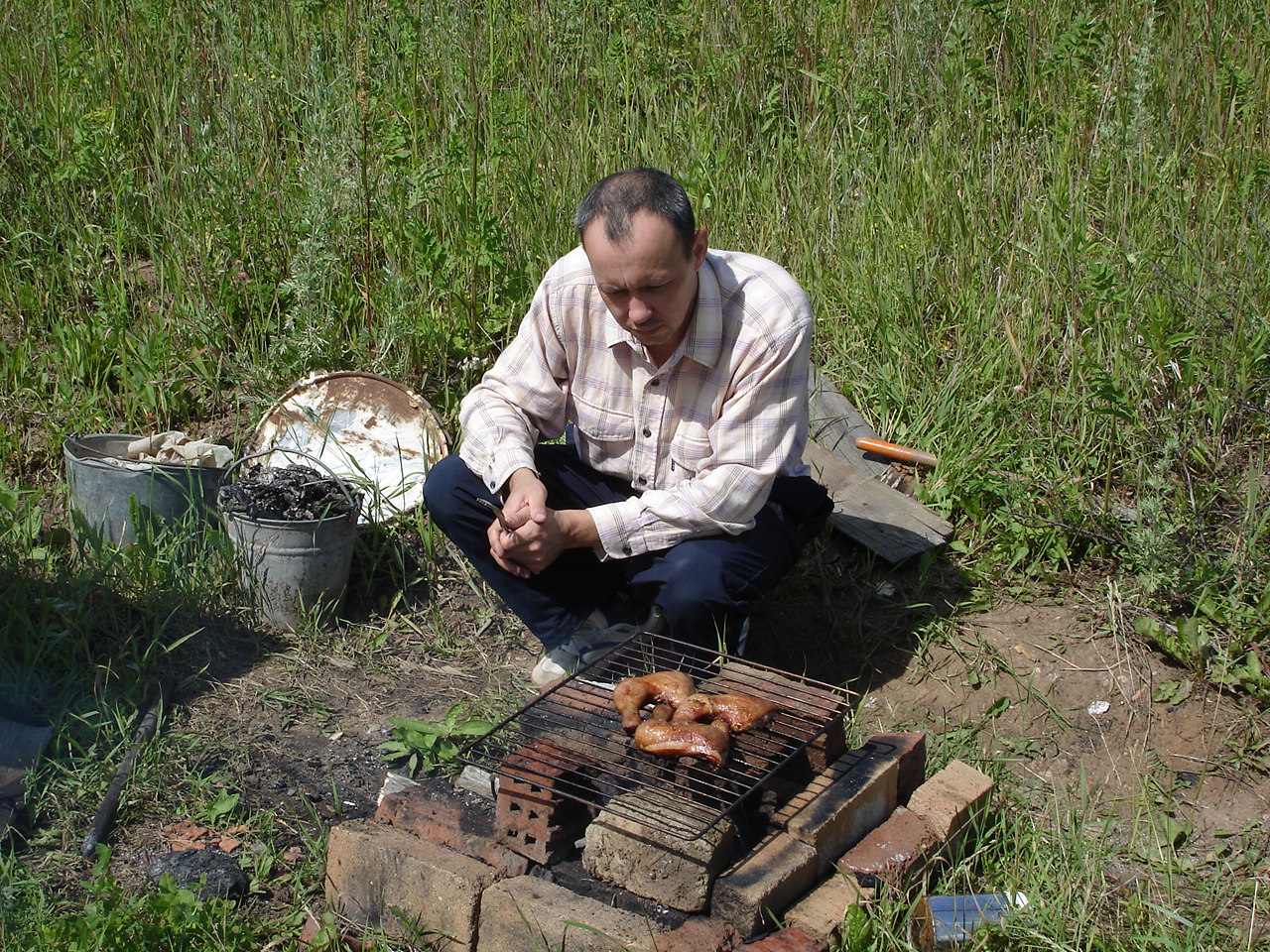 Dima fry Chicks